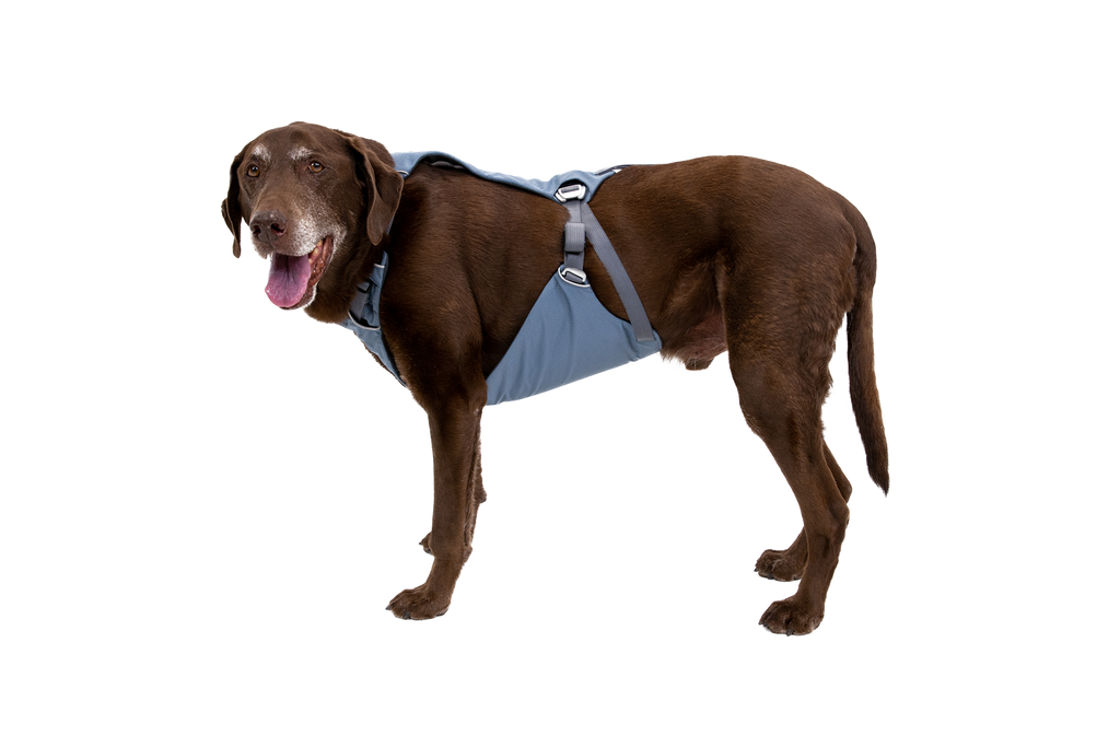 Load Up™ Dog Car Harness