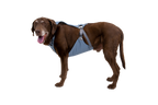 Load Up™ Dog Car Harness