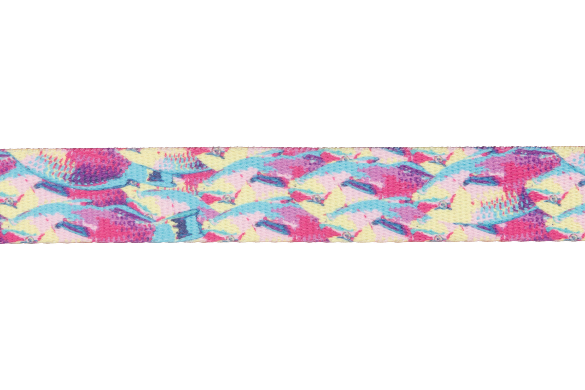 Reef Fish (989)