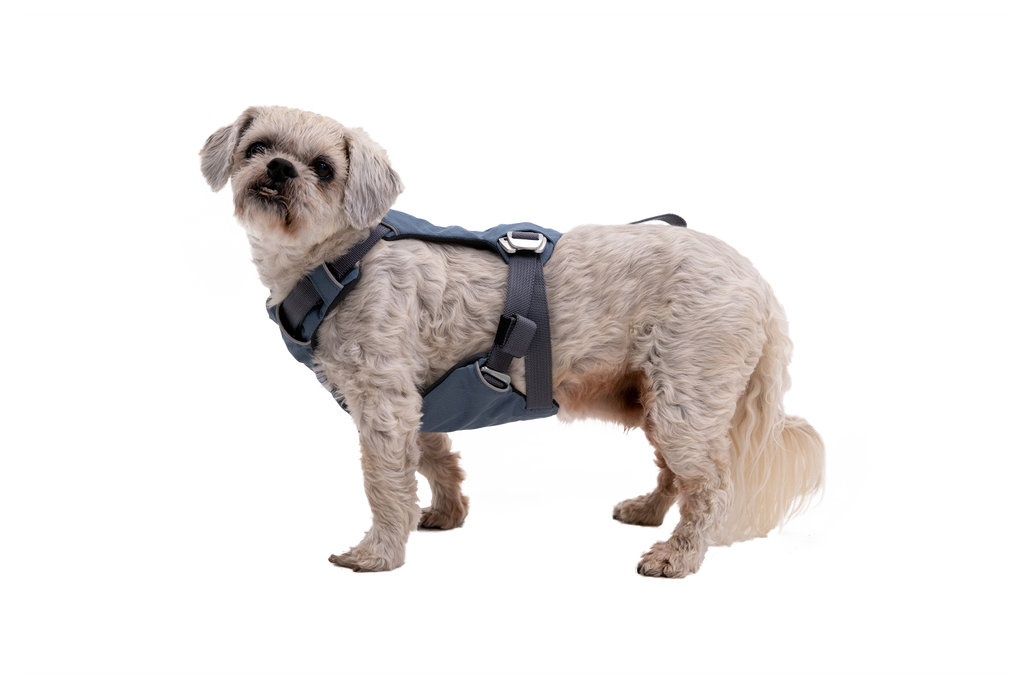 Load Up™ Dog Car Harness