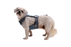 Load Up™ Dog Car Harness