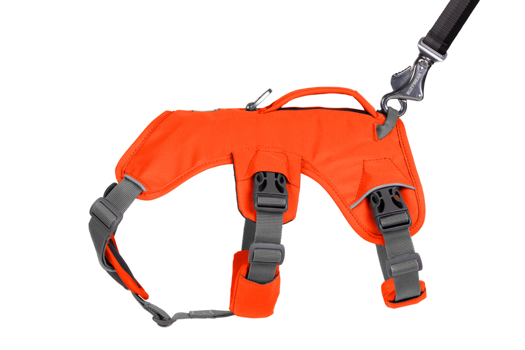 WebMaster Harness back attachment
