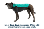 Aurora Teal (421)