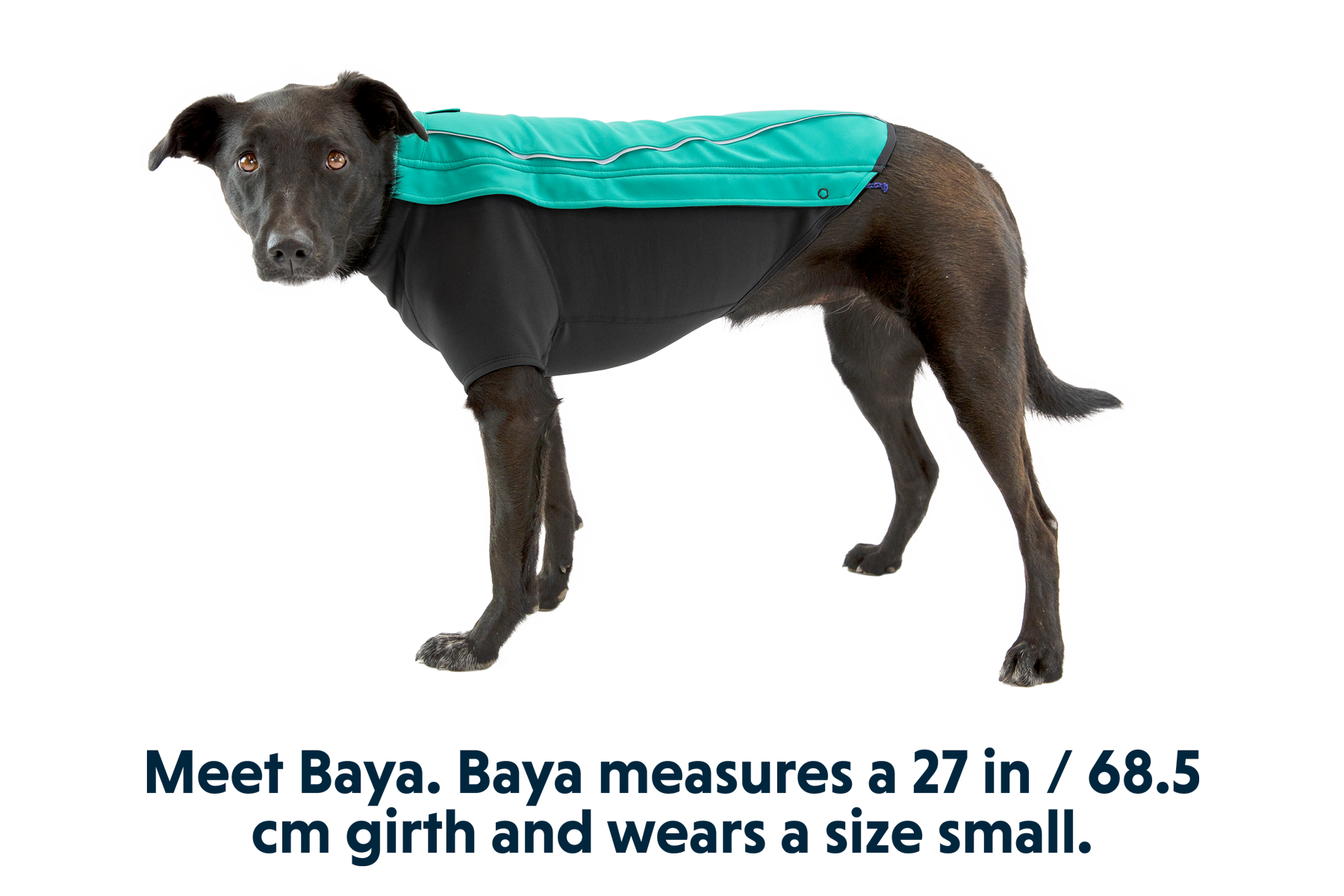 Aurora Teal (421)