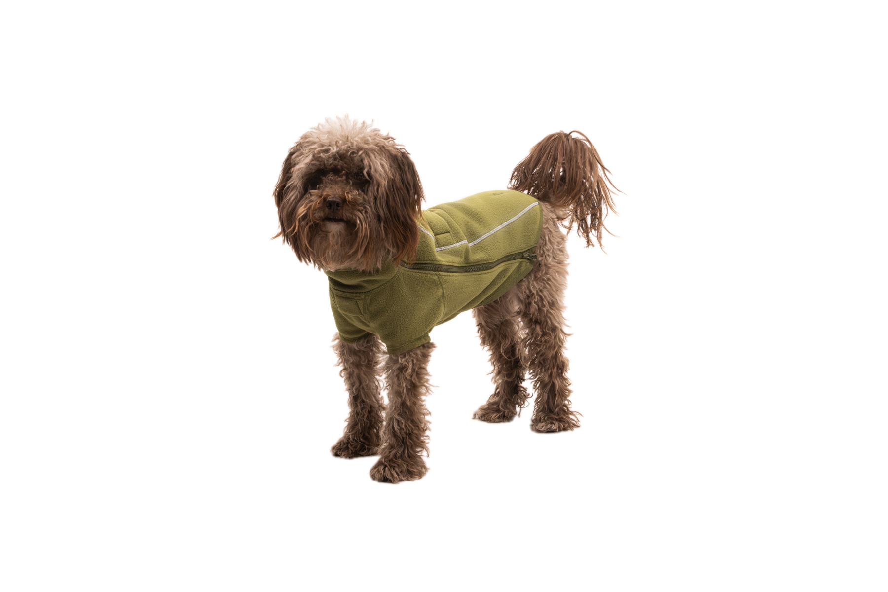 Cedar Green (302)