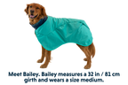 Aurora Teal (421)