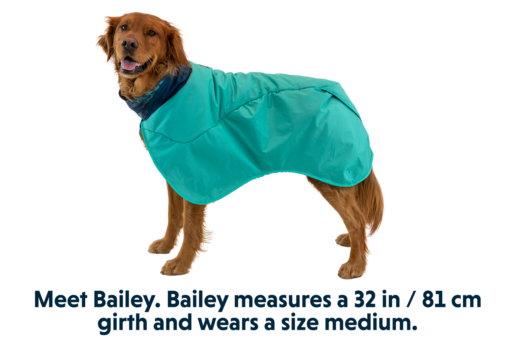 Aurora Teal (421)