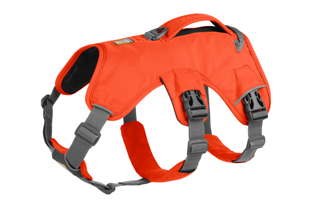 WebMaster Harness side view