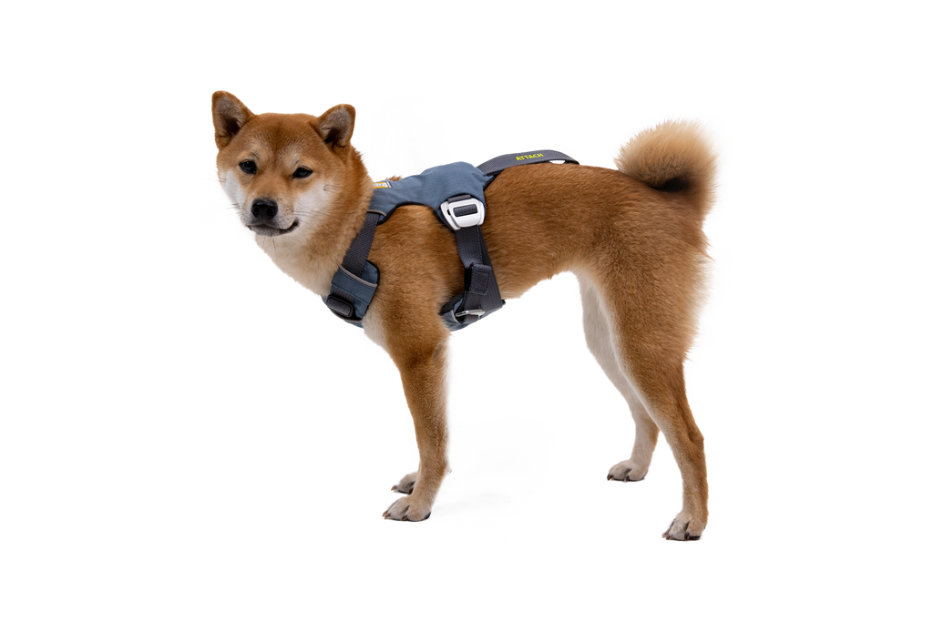 Load Up Harness Side View Slate Blue (413)
