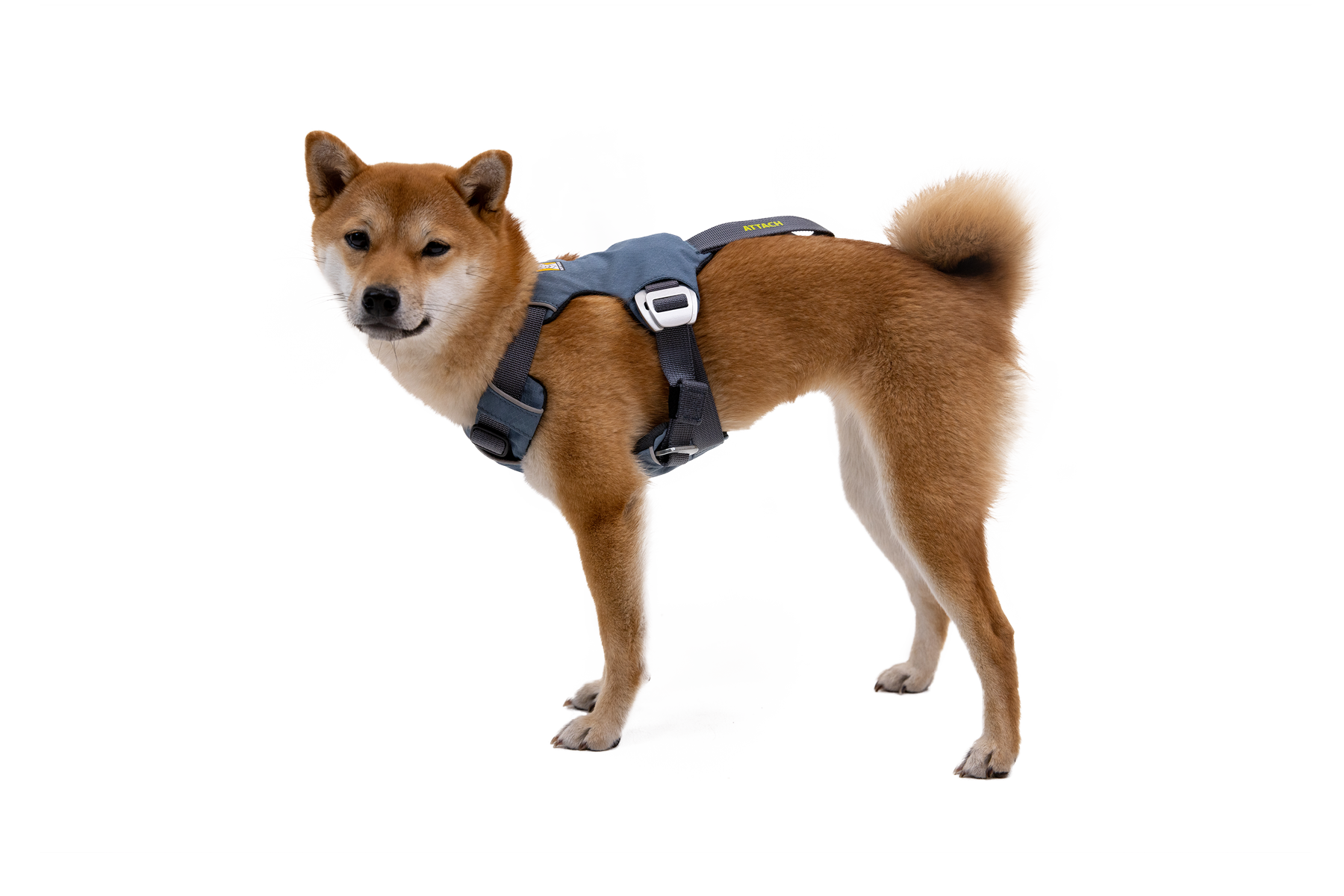 Load Up Harness Side View Slate Blue (413)