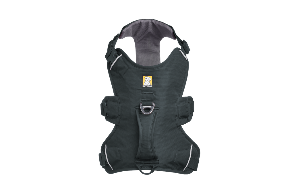 Basalt Gray (042)