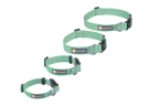 Sage Green (330)