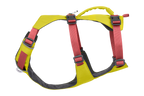Flagline™ Dog Harness with Handle
