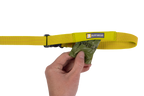 Lichen Green (315)