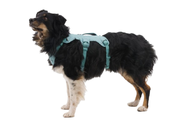 River Rock Green (355)