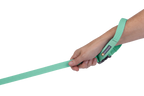 Flagline™ Dog Leash