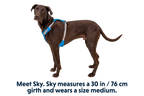 Hi and Light Harness in Blue Dusk (407)