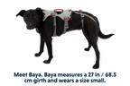 Doubleback Harness in Cloudburst Gray (045)