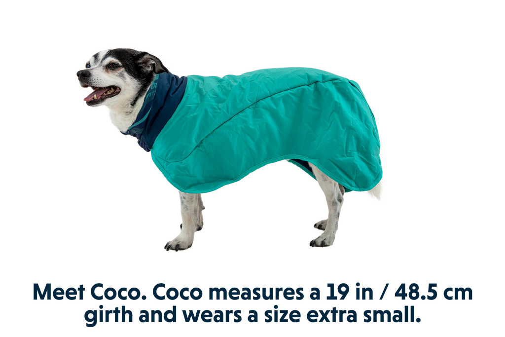 Aurora Teal (421)
