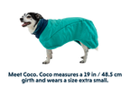 Aurora Teal (421)