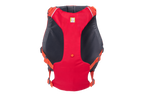 Tangelo Orange (802)