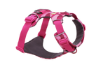 Pink Mountains (990)