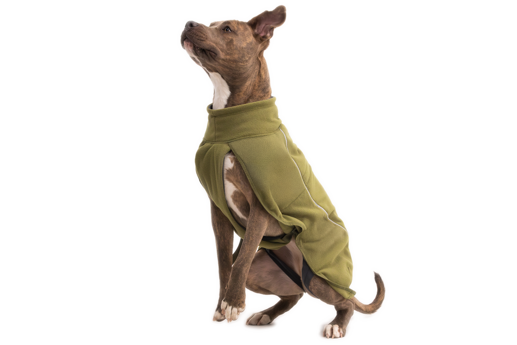 Cedar Green (302)