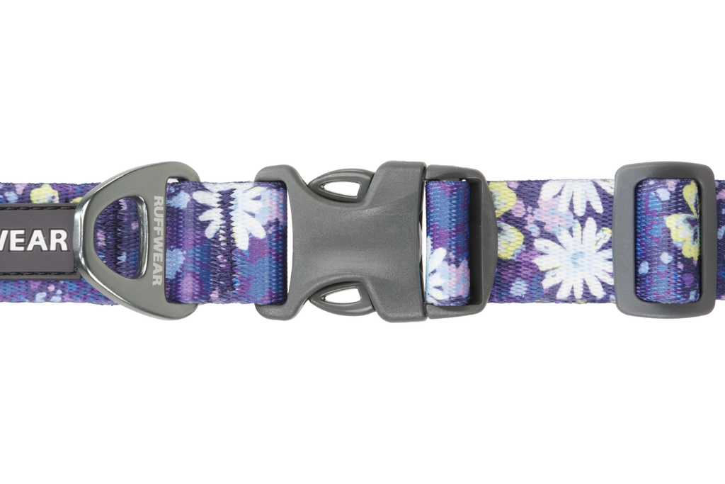 Wildflower (918)