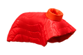 Red Currant (615)