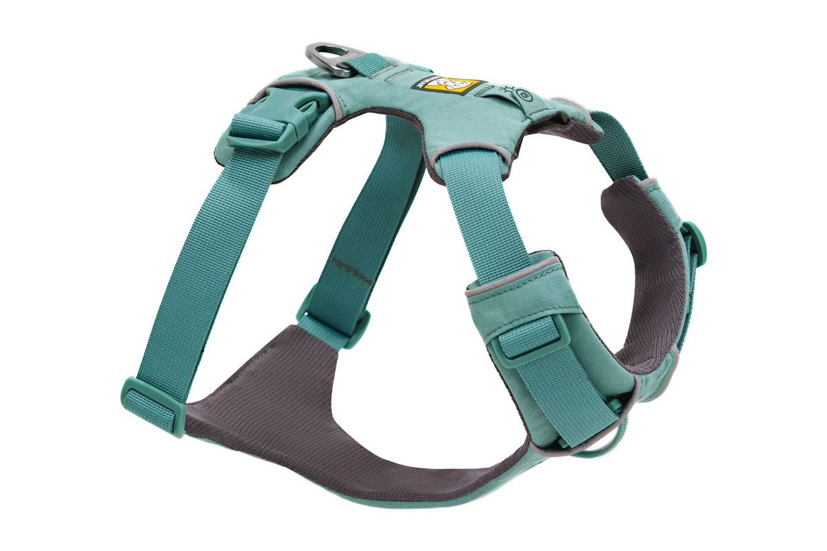 Front Range Harness in River Rock Green (355)