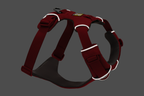 Red Canyon (625)