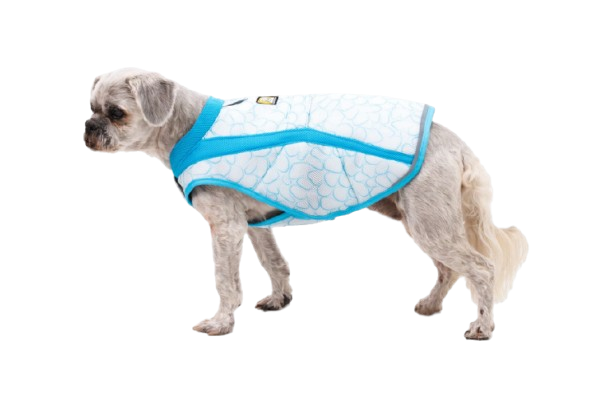 Biolumin Blue (445)