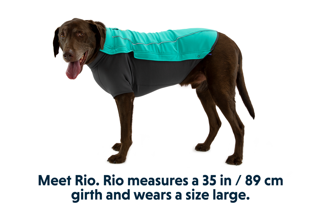 Aurora Teal (421)