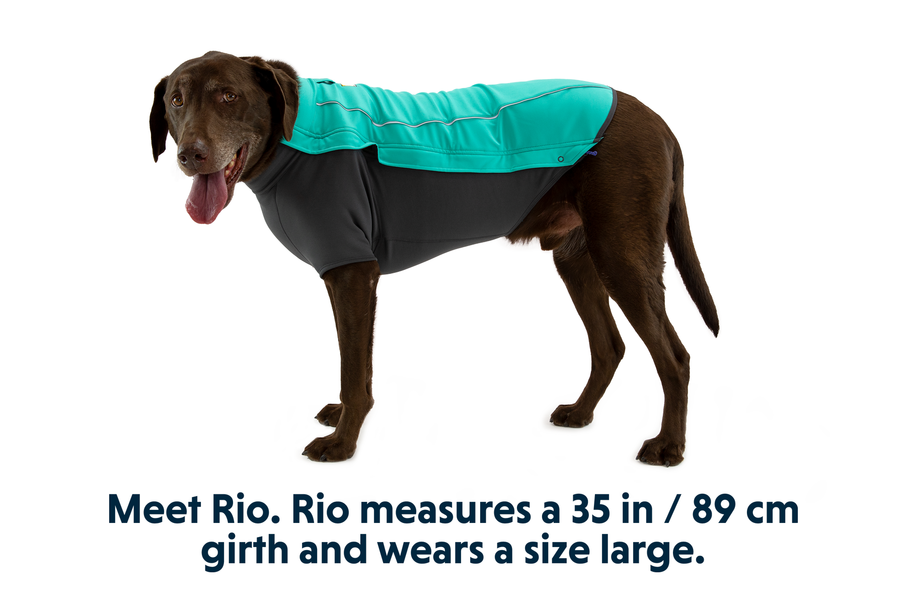 Aurora Teal (421)