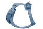 Polar Blue (482)