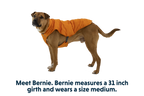 Campfire Orange (815)