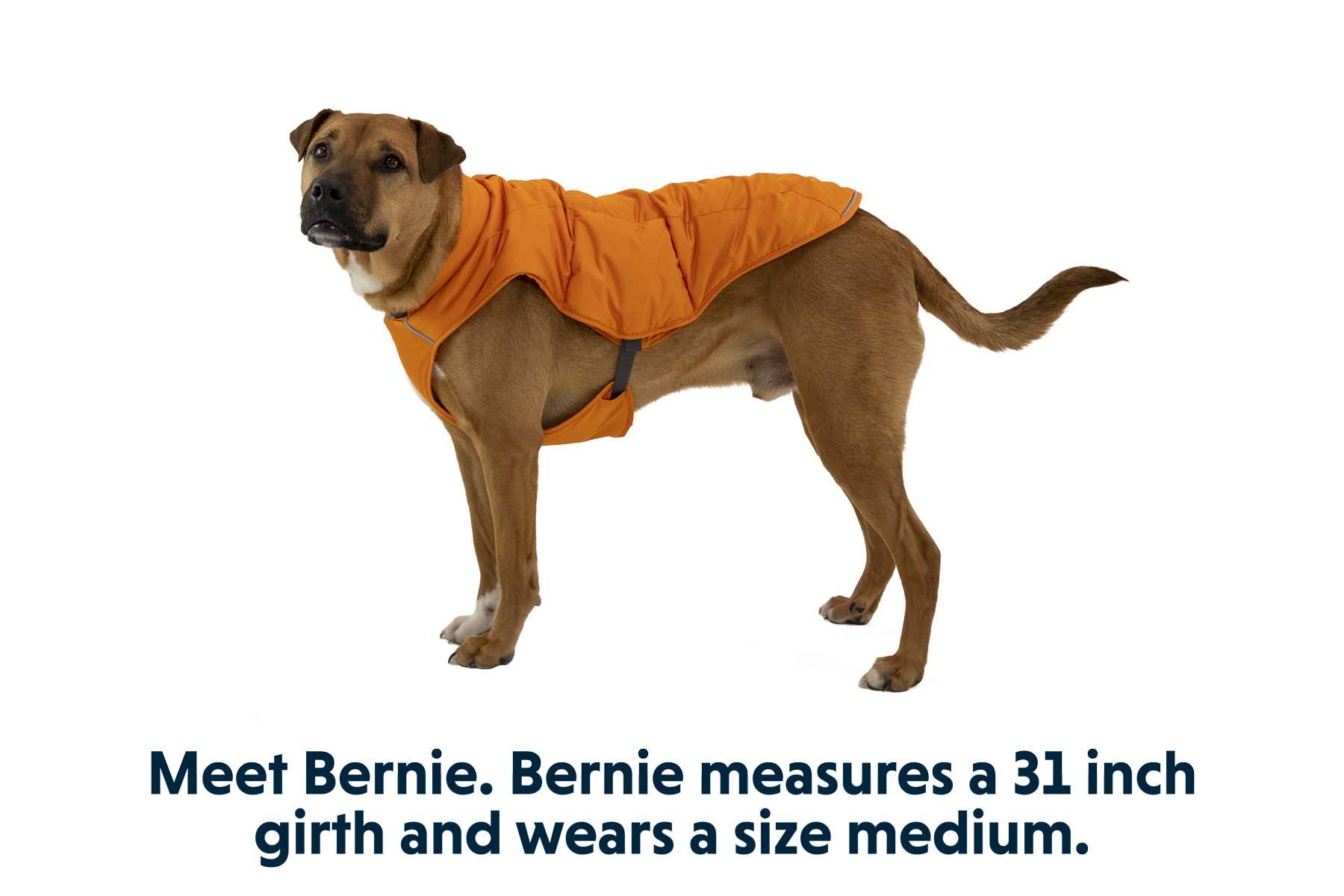 Campfire Orange (815)