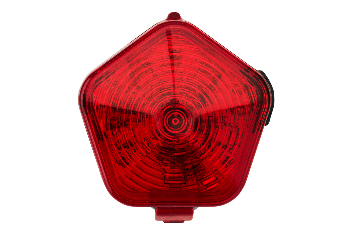Red Currant (615)