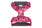 Pink Mountains (990)