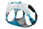 Biolumin Blue (445)