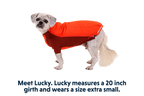 Persimmon Orange (852)