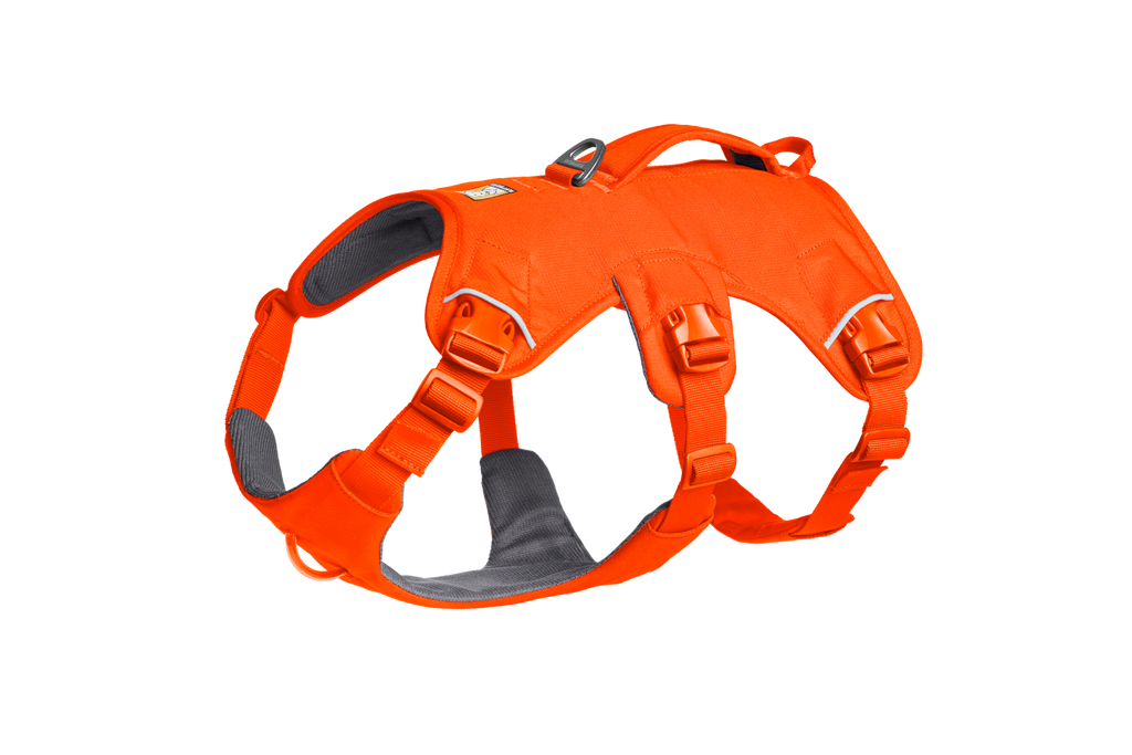 Blaze Orange (850)