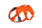 Blaze Orange (850)