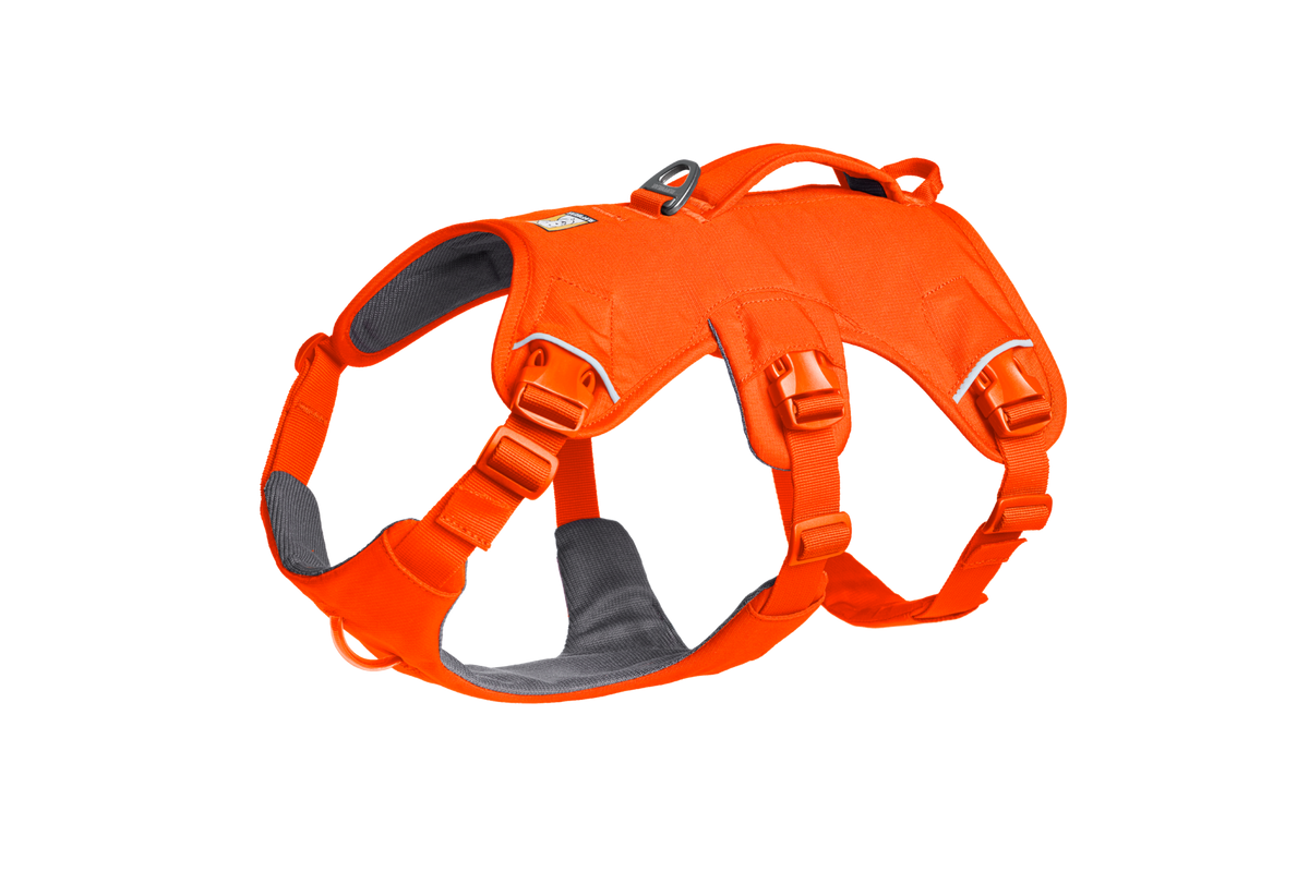 Blaze Orange (850)