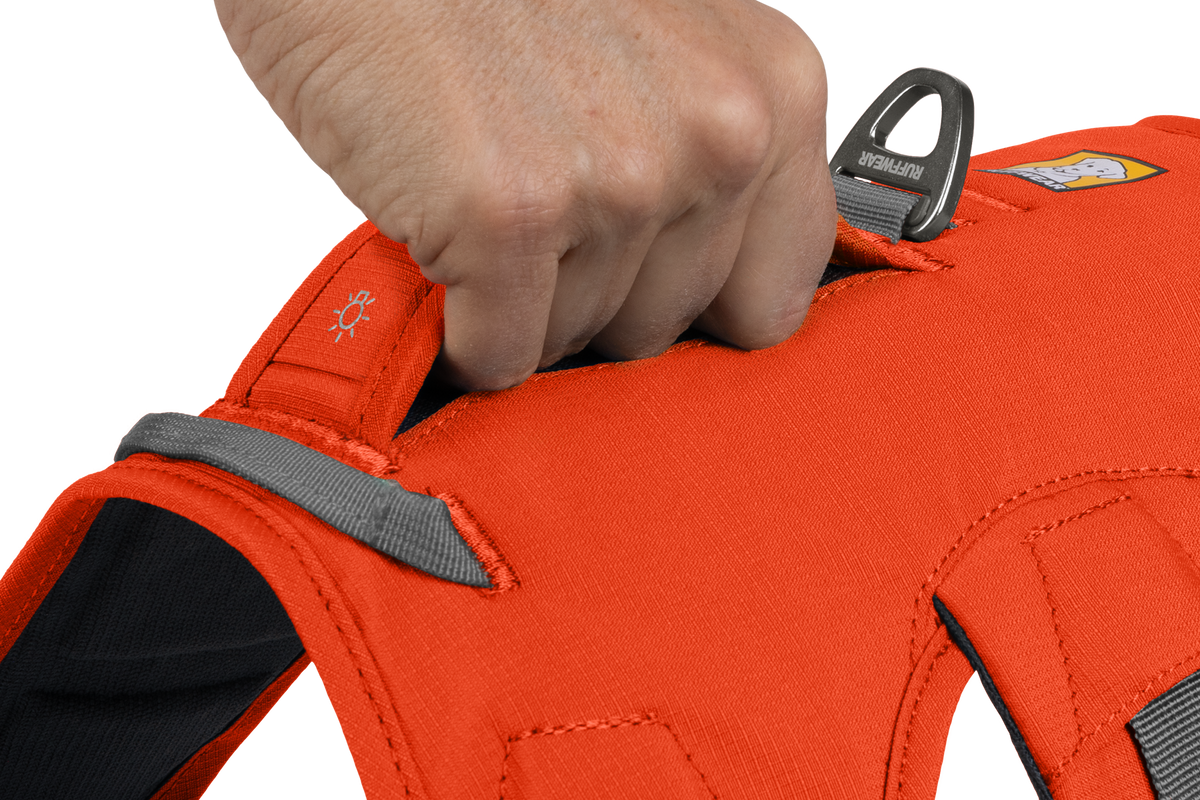WebMaster Harness handle