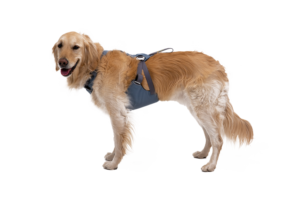 Load Up dog car harness Slate Blue (413)