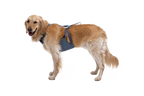 Load Up dog car harness Slate Blue (413)