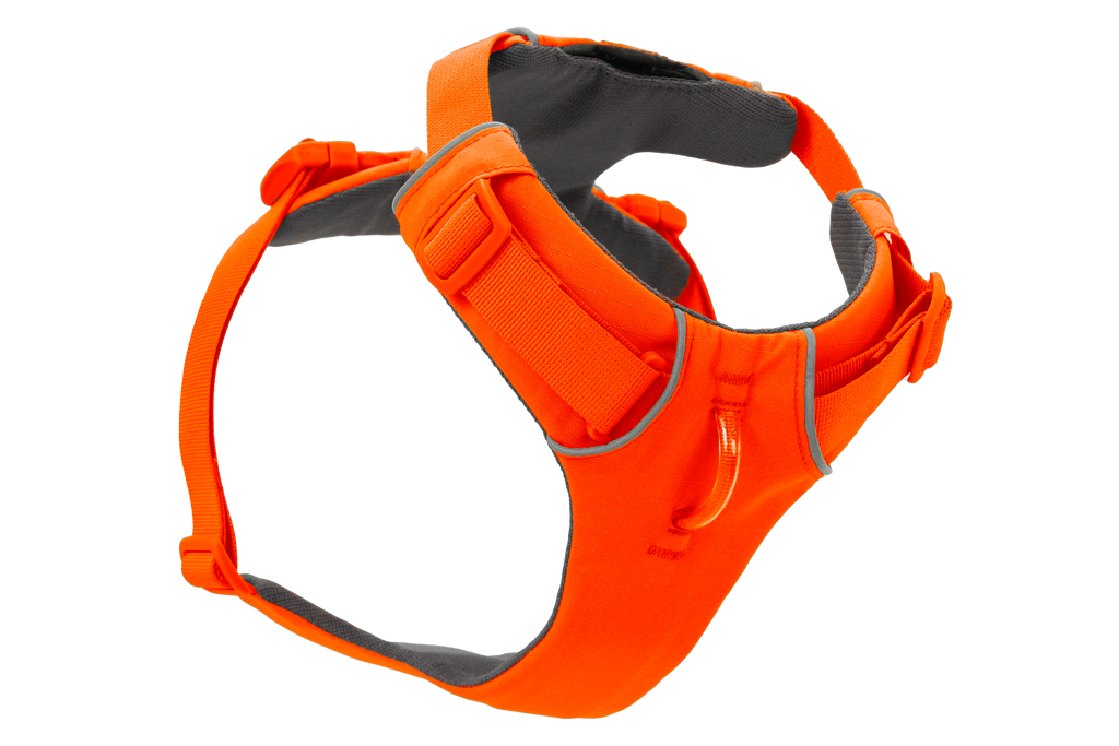 Blaze Orange (850)