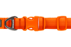 Blaze Orange (850)