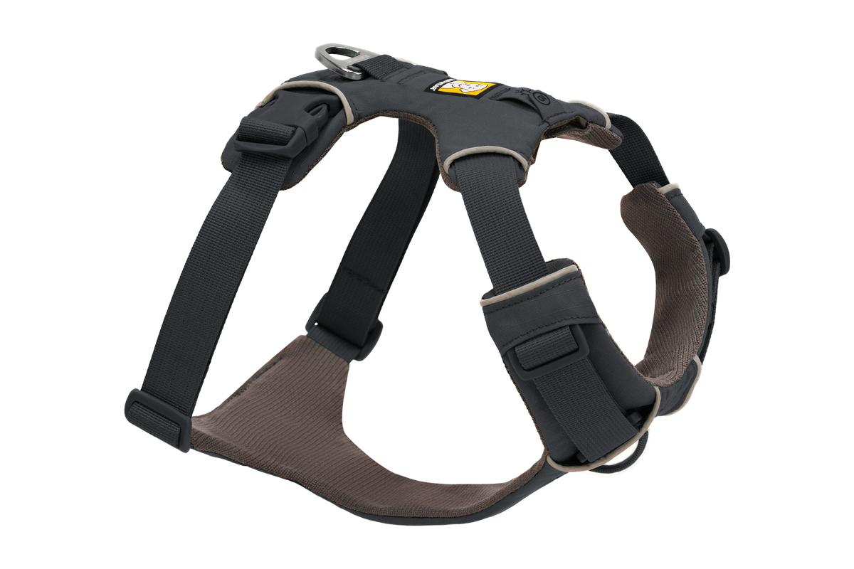 Front Range Harness in Basalt Gray (042)